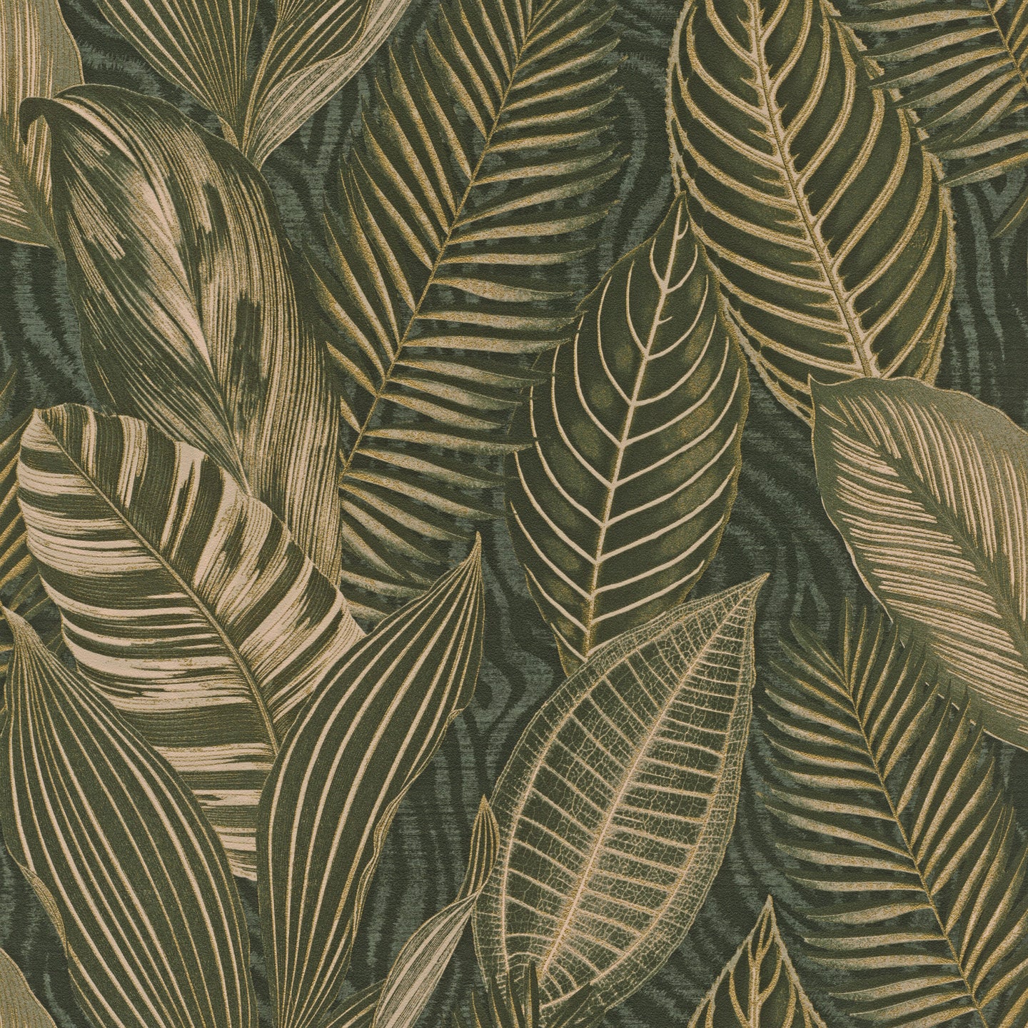 African Queen Leaf Wallpaper- Rasch 751826