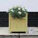 Limited Edition Al Fresco - Matcha