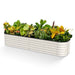 Raised Garden Planters