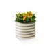Raised Garden Planters