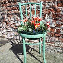 Frenchic Al Fresco Range Apple of my Eye