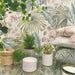 Retreat Tropical Floral Wallpaper Pink Beige - Belgravia Decor 54447